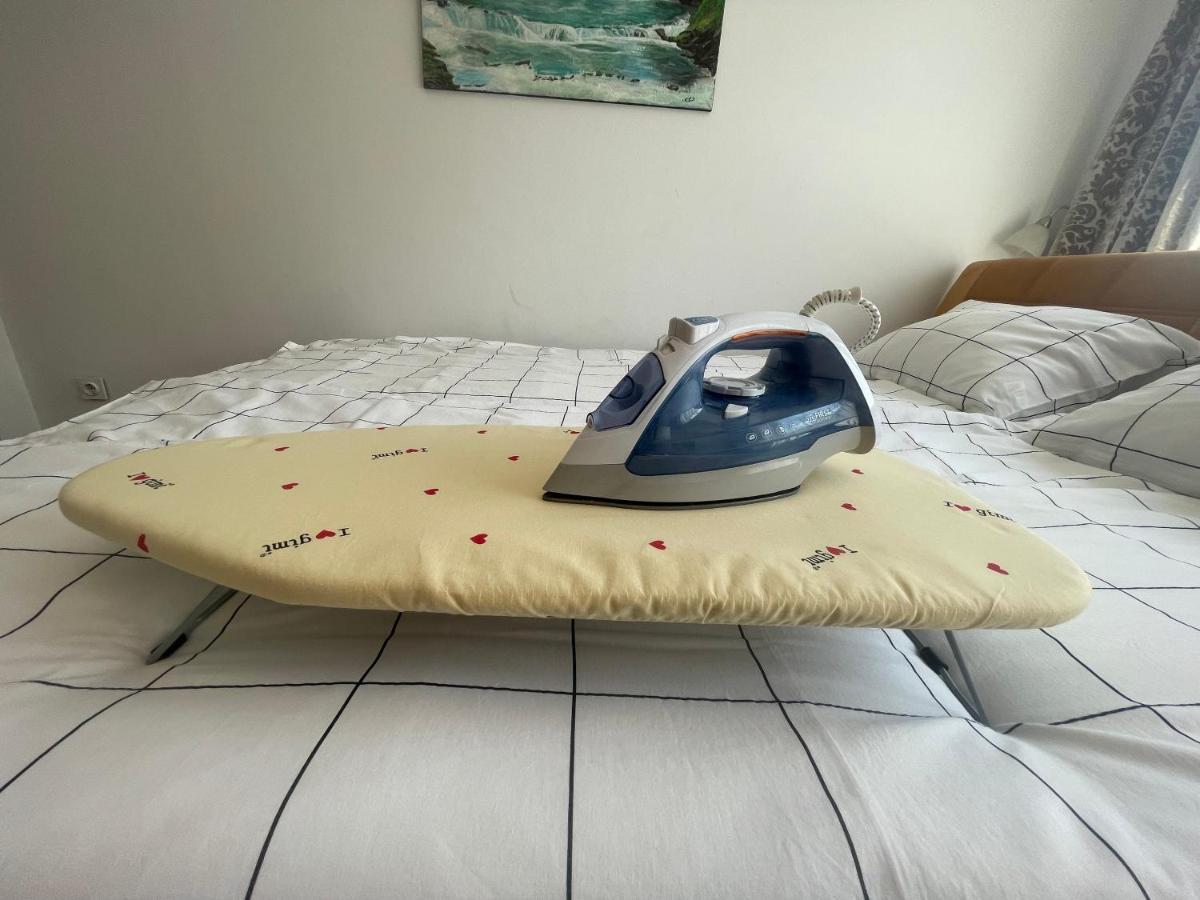 זניקה Studio Apartman Centar מראה חיצוני תמונה
